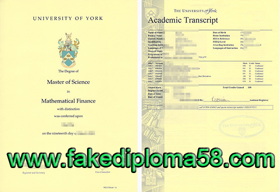 University of York degree and transcript