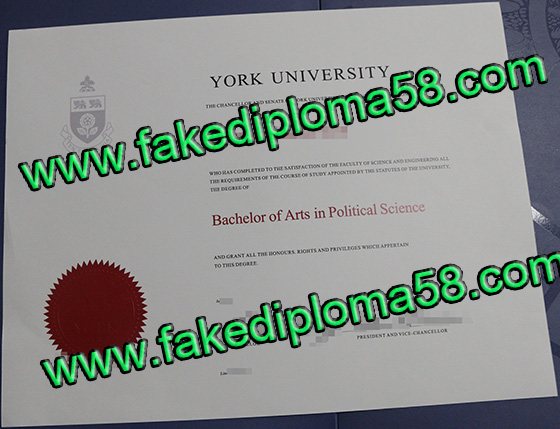  York University diploma