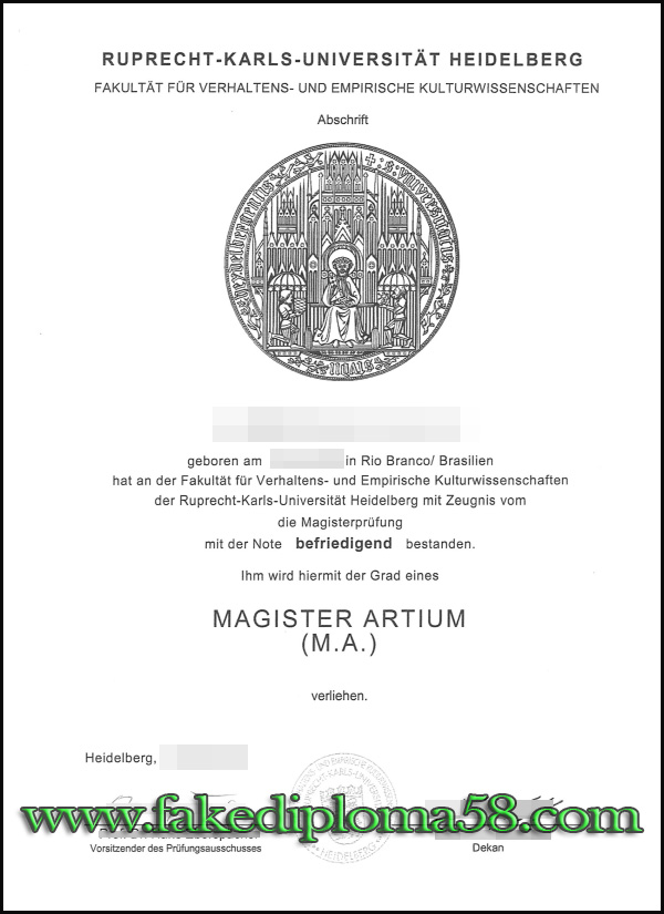 Universitaet Heidelberg degree, Universitaet Heidelberg diploma