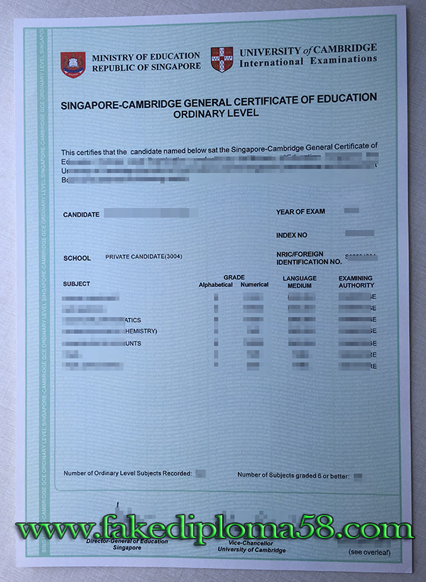 Singapore Cambridge GCE O level transcript