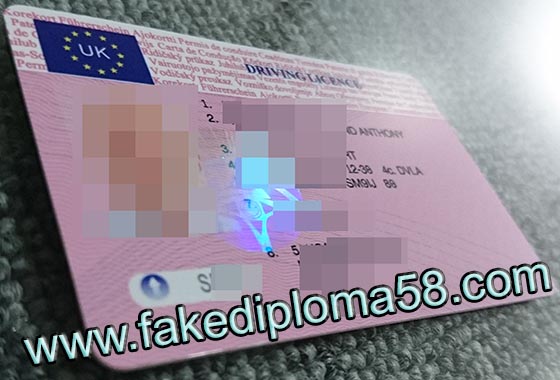 Fake UK Driving License