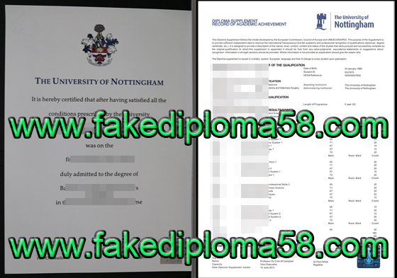 The University of Nottingham diploma and transcript sample
