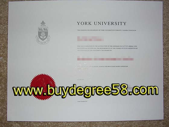 University of York degree and transcript for sale online