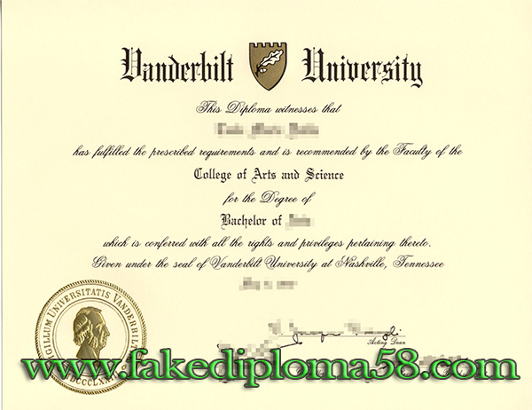 bachelor of business degree from Vanderbilt University