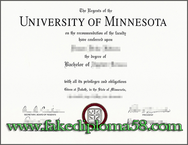 University of Minnesota degree, U of M degree, UMN degree