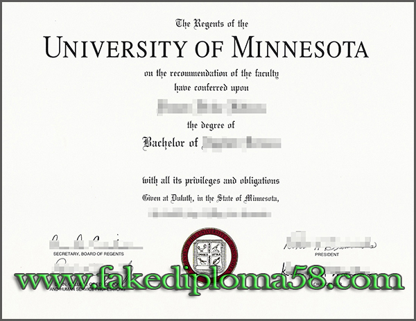 UMN degree, University of Minnesota degree