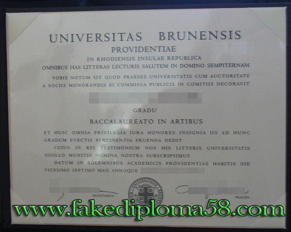 Brown University degree
