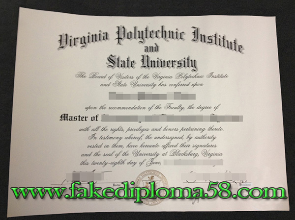 Virginia Polytechnic Institute and State University master degree sample