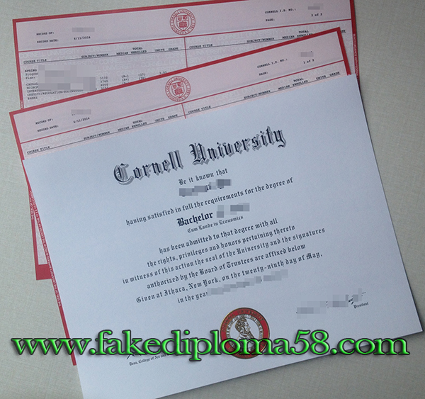 where to buy Cornell University bachelor degree with transcript