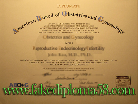buy diplomate of ABOG, American Board of Obstetrics and Gynecology certificate