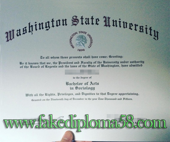 WSU certificate, buy Washington State University degree