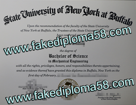 State university of new york at Buffalo diploma