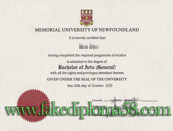 Memorial University of Newfoundland bachelor degree sample