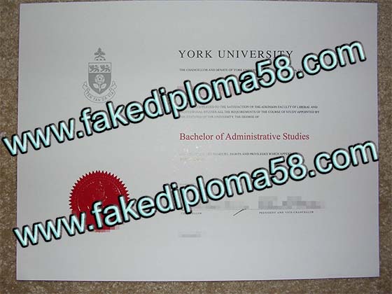 York university diploma sample, buy fake degree