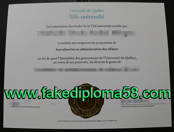 Université du Québec diploma sample