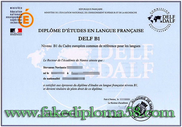DELF diploma, Diplome d’études en langue francaise