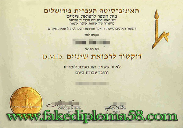 The Hebrew University of Jerusalem bachelor degree sample