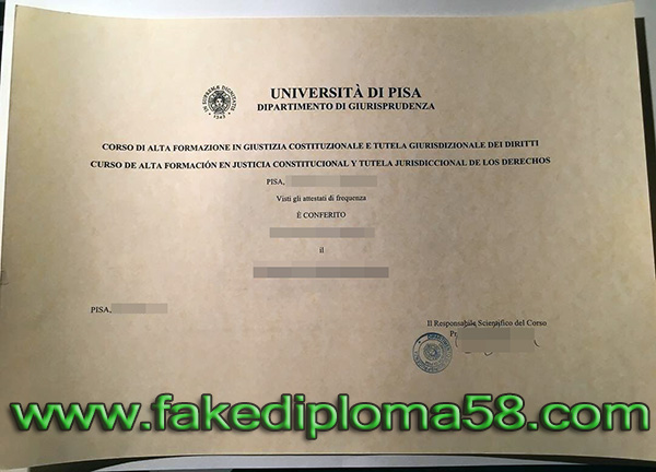 Università di Pisa fake diploma, University of Pisa fake degree sample