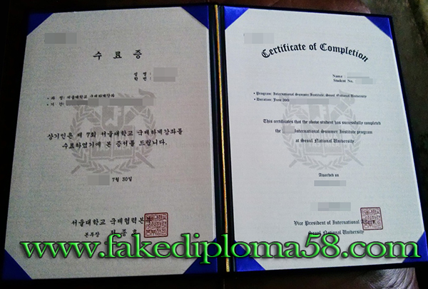 Seoul National University degree certificate from Korea