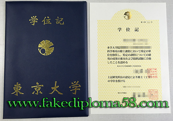 University of Tokyo degree, the University of Tokyo diploma