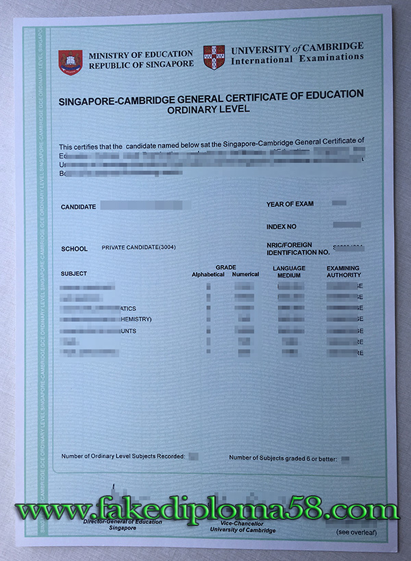 What is the Singapore Cambridge GCE O level?