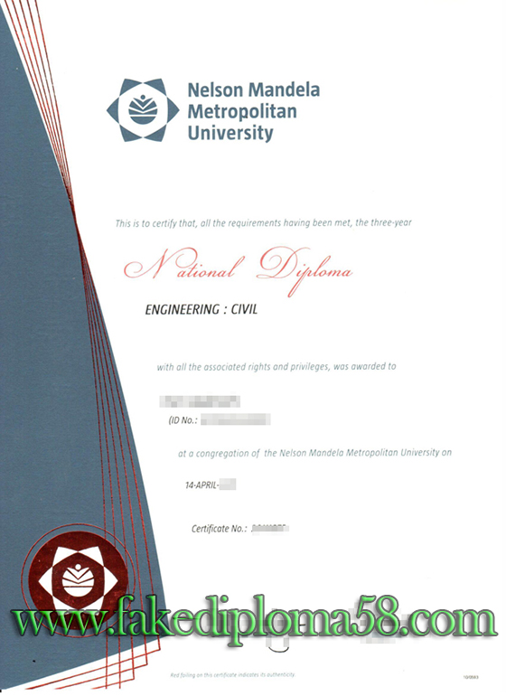 Nelson Mandela Metropolitan University degree from South Africa