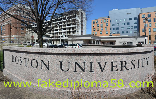 Introduction to Boston University
