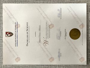 Auckland University pf Technology fake diploma