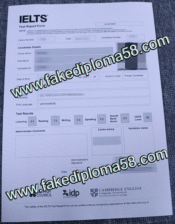 IELTS Fake diploma