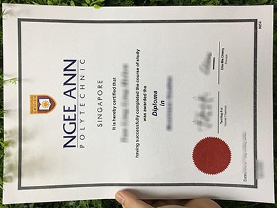 How to buy Ngee Ann Polytechnic fake diploma in Business Management