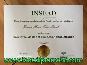 fake Insead diploma