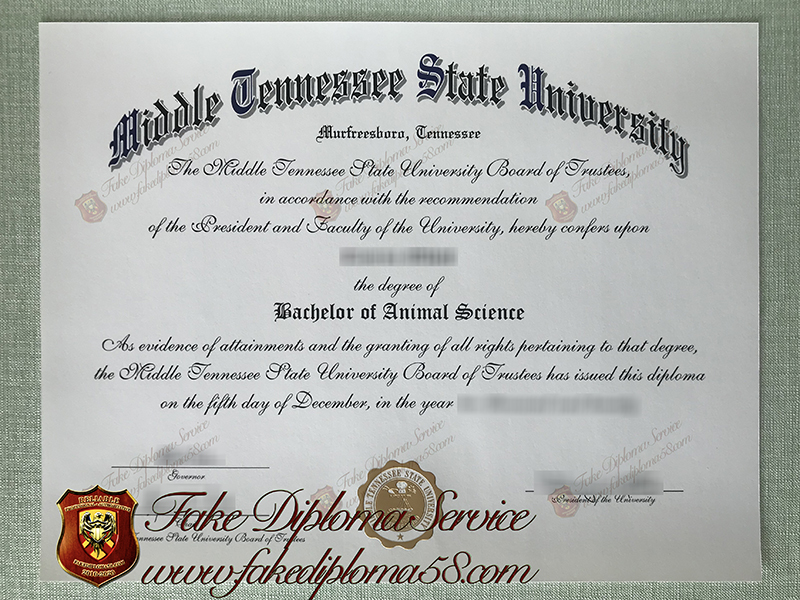 fake Middle Tennessee State University diploma