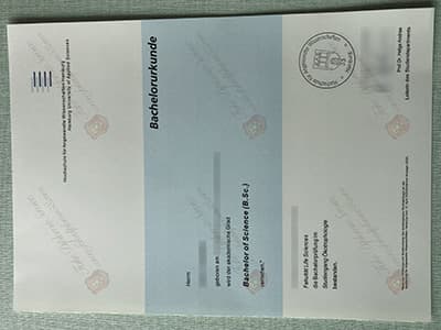 Buy HAW Diploma Online, Same as the Original One