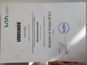 fake IUBH diploma, fake IUBH Internationale Hochschule diploma