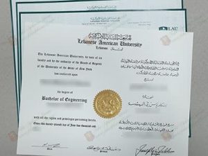 Lebanese American University diploma