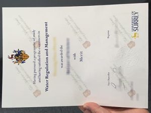 University of Surrey diploma