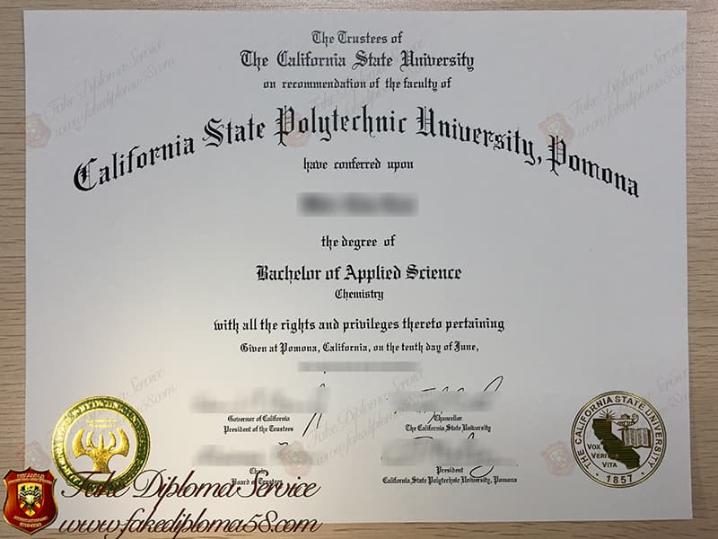 fake Cal Poly Pomona diploma