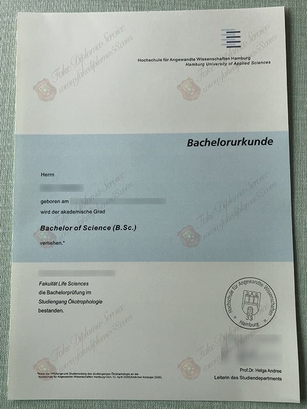 fake HAW diploma, Hochschule für Angewandte Wissenschaften Hamburg diploma