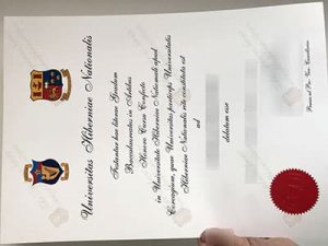 fake National University of Ireland diploma, fake NUI diploma