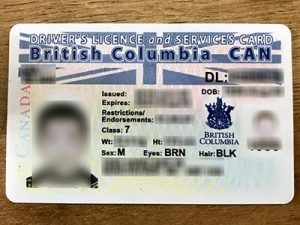 Get British Columbia Driver's Licence