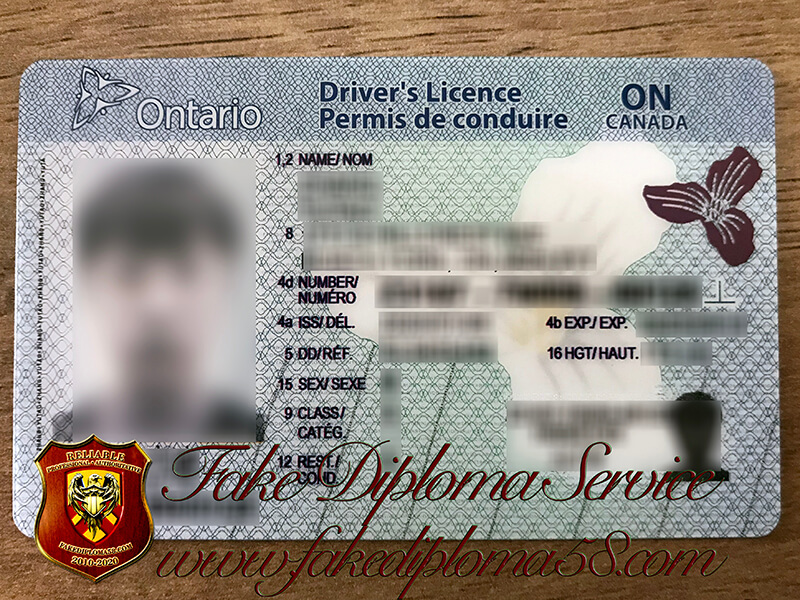 Get Ontario Driver's Licence