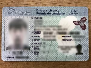 Get Ontario Driver's Licence