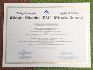 Bahcesehir University degree