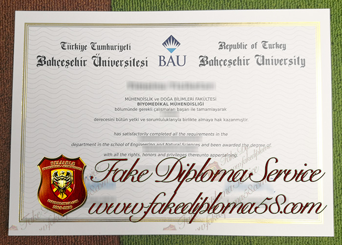 Degree of Bahcesehir University(BAU)