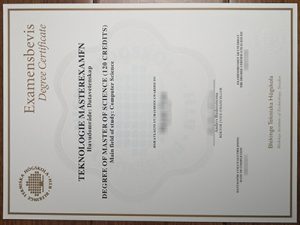 Blekinge tekniska hogskola diploma