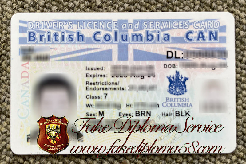 British Columbia driver's license