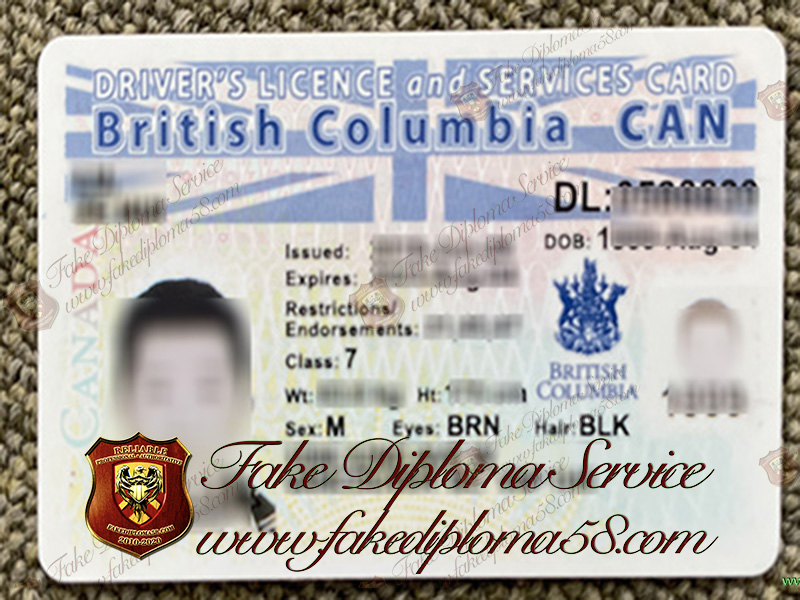 Obtain a high quality British Columbia driver license with scan information