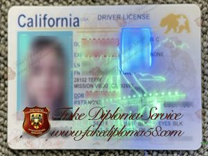 California driver's license