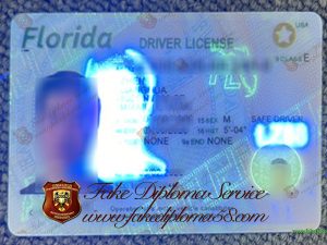 Florida driver's license