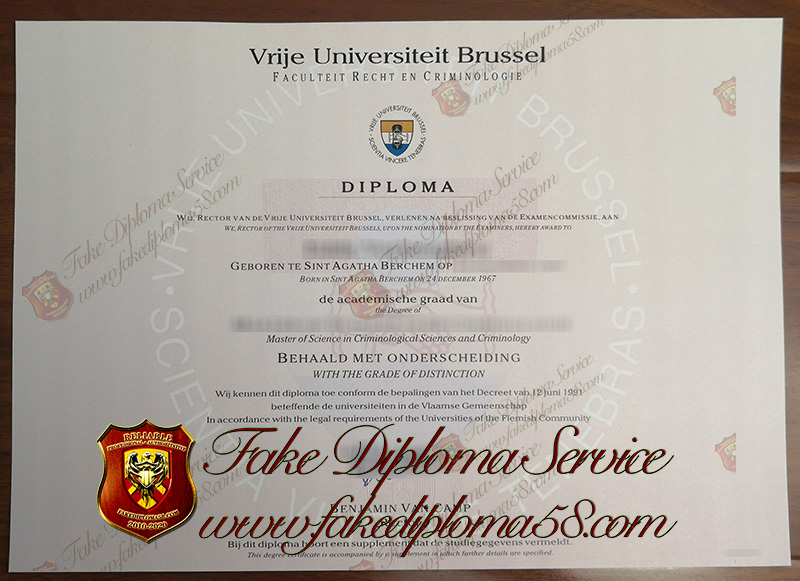 Free University of Brussels diploma